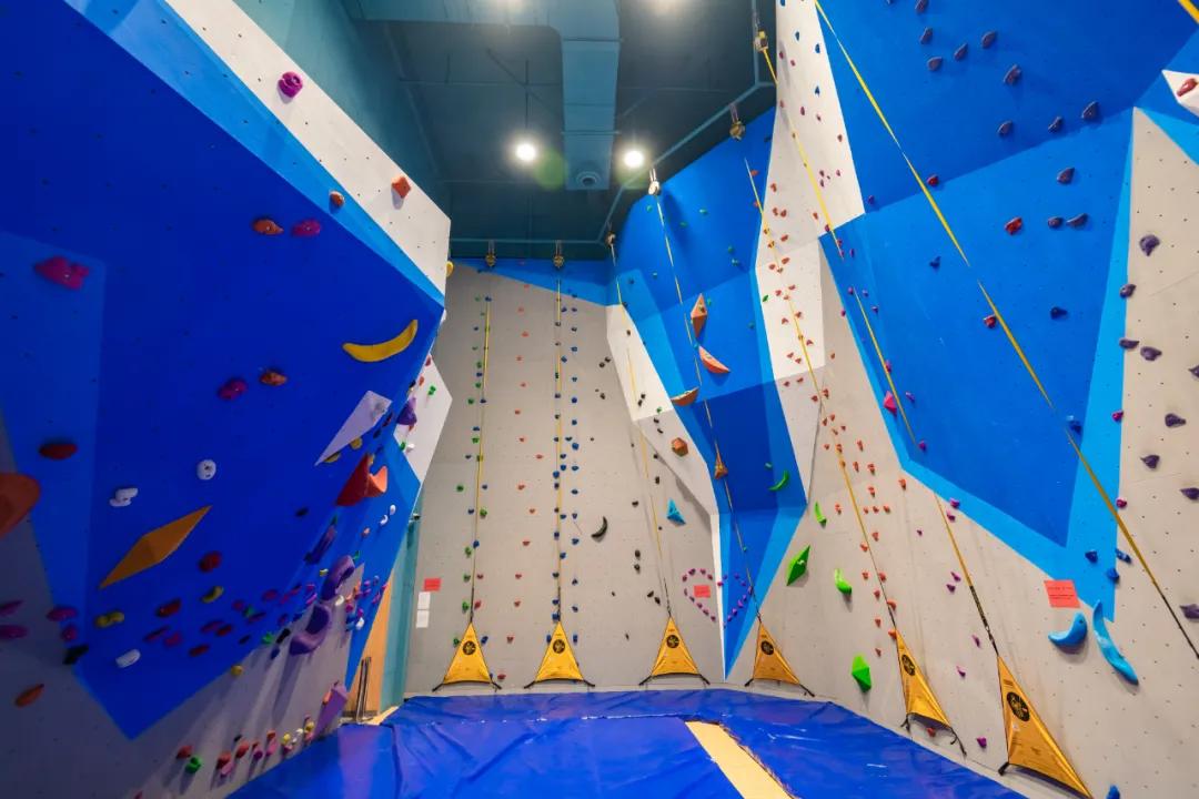 国际教育行业新趋势,中锐国际教育怎么样