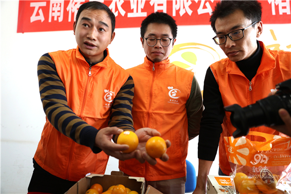 辨别真假褚橙的方法来了,买了褚橙和正要买褚橙的人一定要看过来