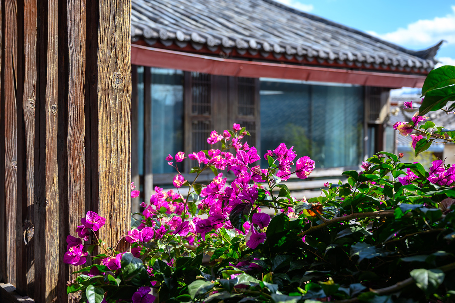 云南丽江最美民宿,丽江最美雪山风景民宿