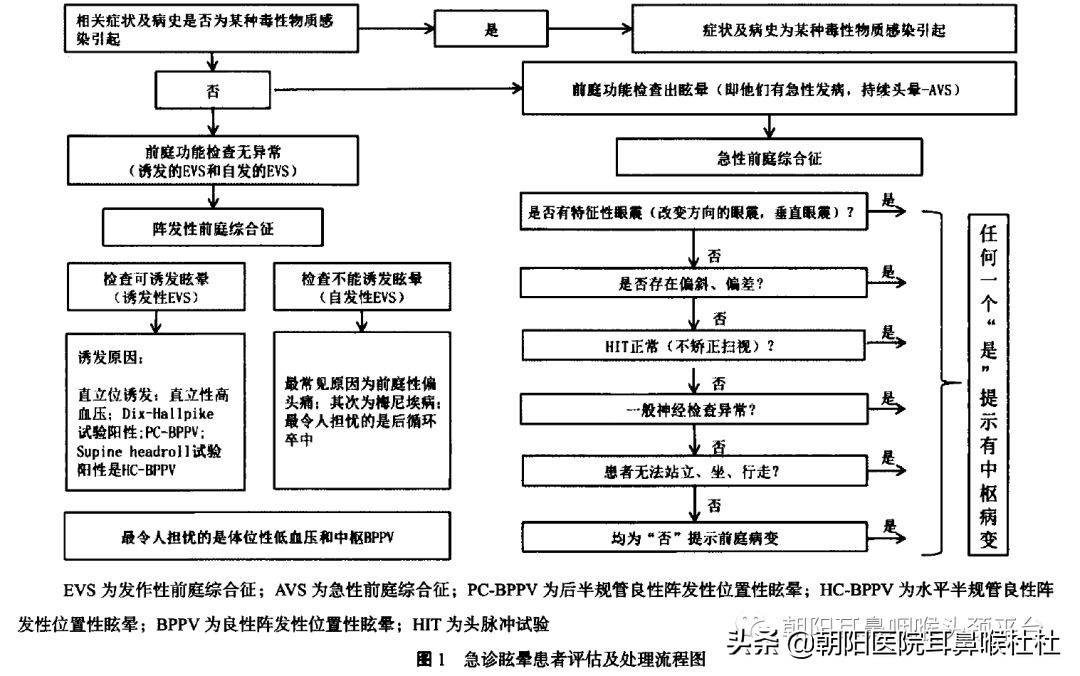 晕晕的系列六——眩晕莫慌，我们来帮