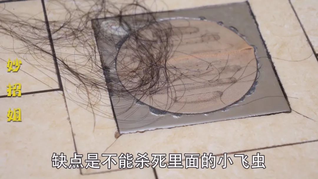 卫生间有黑色的小飞虫是怎么回事,家里的黑色小飞虫用什么药治