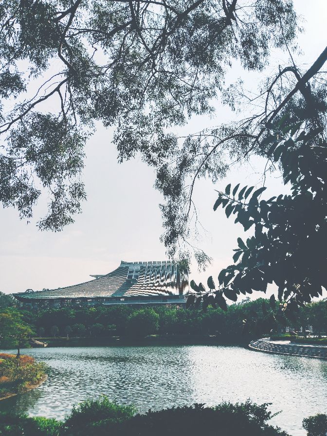 我的旅行日记夏日里的厦门,我的旅行日记厦门园林植物园