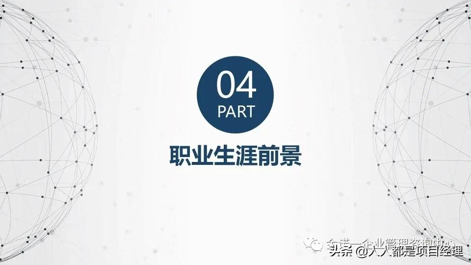 项目经理运营图谱大全,项目经理角色定位