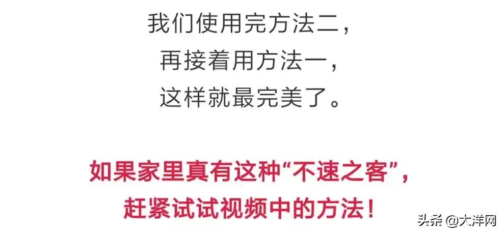 怎样根治家中的小飞虫,家里一堆小飞虫怎么解决