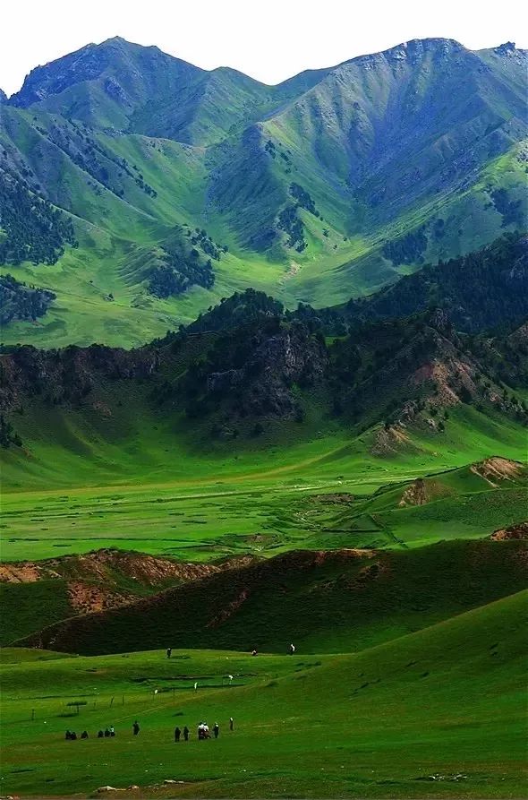 这条最“咸”最彩的公路,治好了我*藏西**的病,解掉了我*疆新**的毒