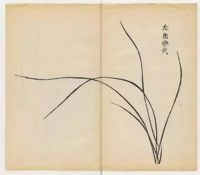 毛笔怎么画兰草,怎么画兰花和书法