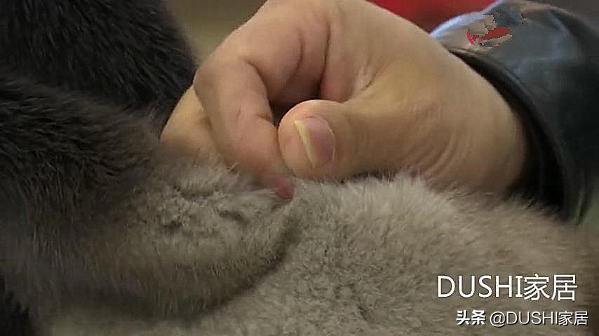 最好的水貂皮衣,皮衣高端大气上档次貂毛