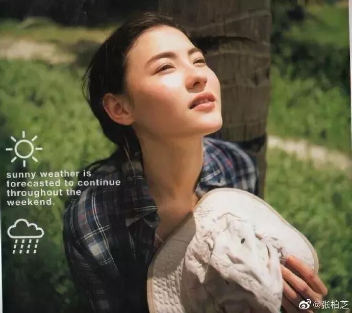 张柏芝多少岁离婚,张柏芝离婚多少岁