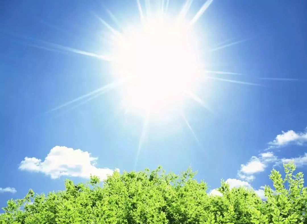 中药材密封袋可以保存多久,抓的中药材可以常温保存吗