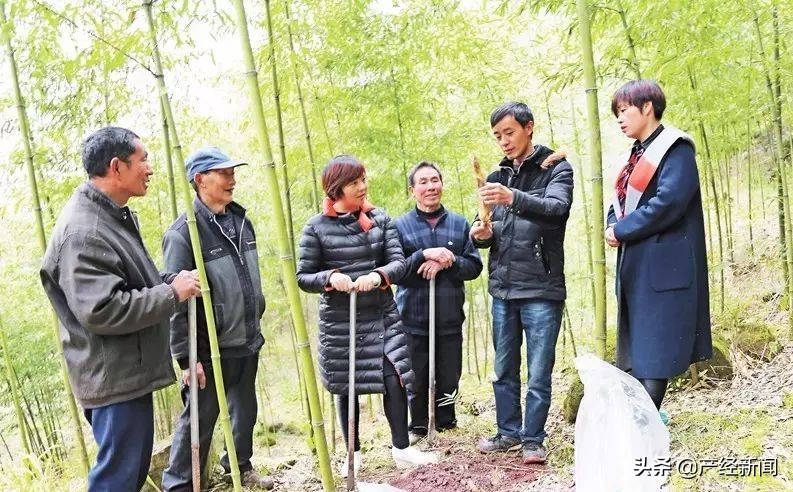 忠县正宗竹笋宴做法,自制笋宴