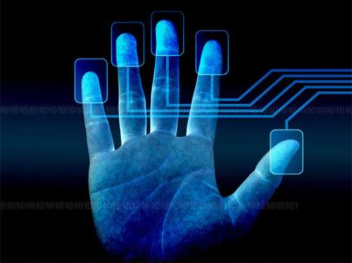 为什么每个人指纹不一样,为什么每个人的指纹都不一样呢