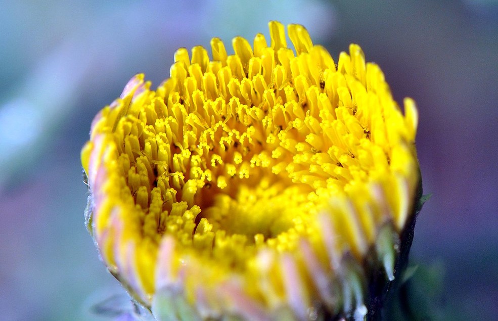 蓦然回首灯火阑珊处是什么深意,蓦然回首才发现留给你的全是伤害