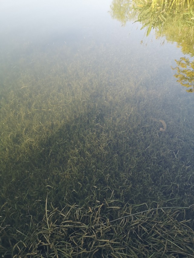 诗意栖居江南,诗意水乡周庄