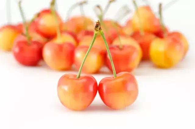 车厘子必备常识,这个季节的车厘子怎么管理