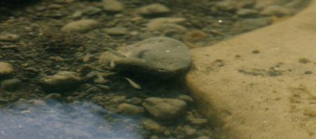 bbc顶级纪录片八大行星,bbc行星纪录片思维导图