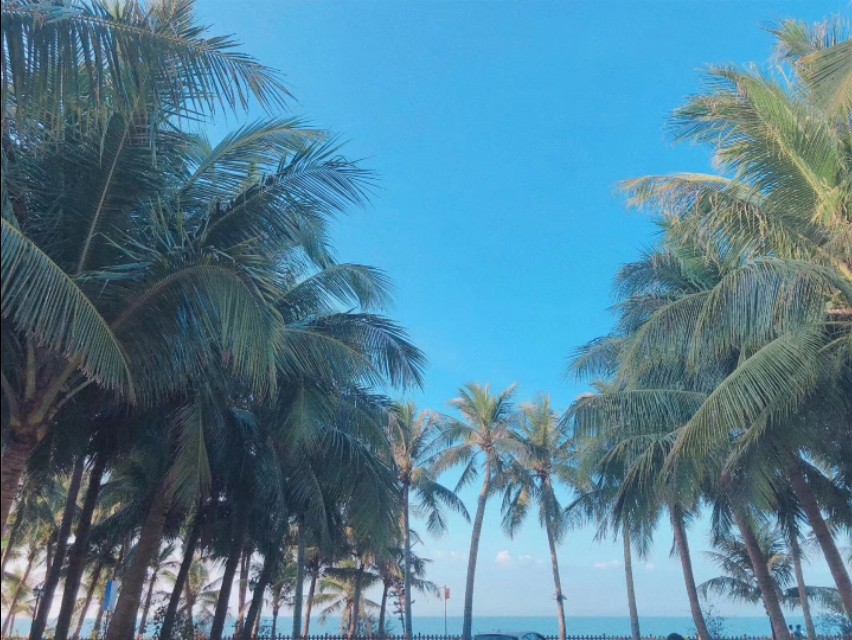 海南18县市气候全面解读,关于海南气候18个市县气候解读