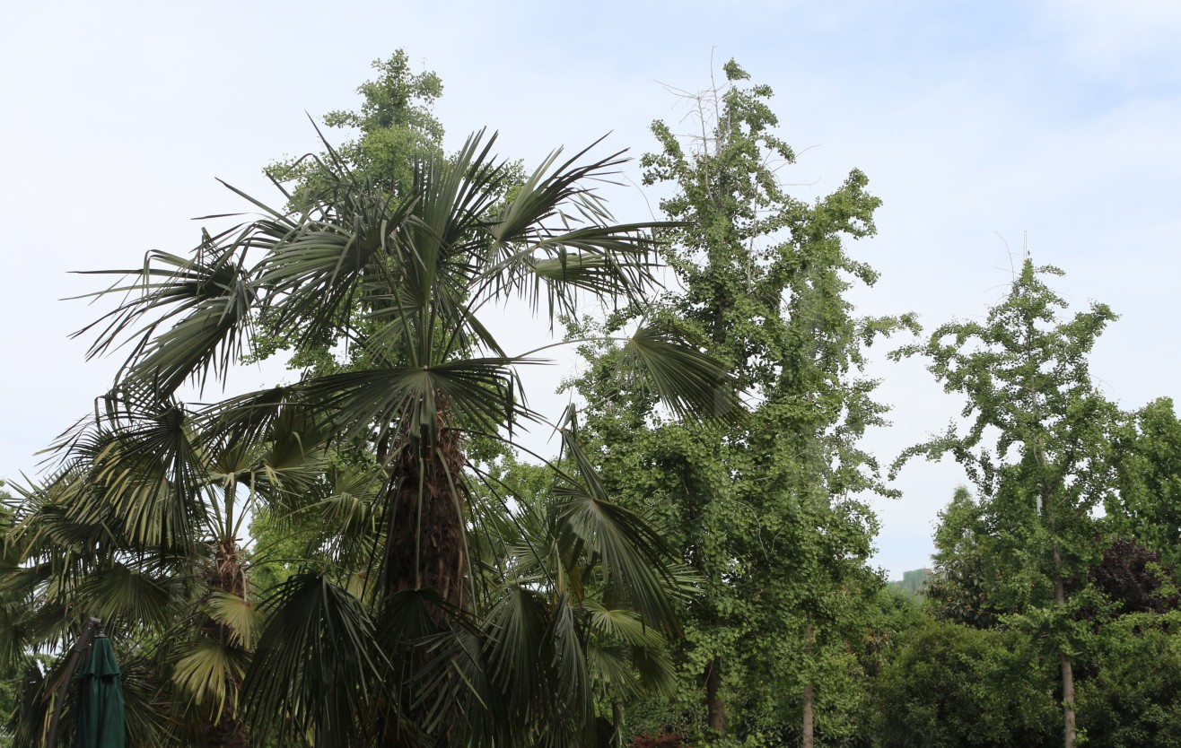 高端温泉度假酒店推荐,郑州忆江南温泉度假酒店