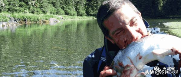 贝爷刀具大全,贝爷使用过的户外刀