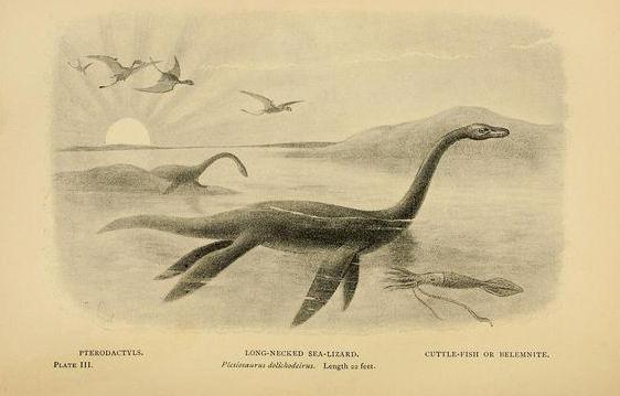 霸王龙真正的样子长什么样,霸王龙长什么样子真正的图片