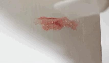 醋的生活小知识,10个关于醋的生活小妙招