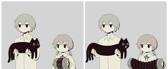 猫是固体还是液体,猫咪究竟是液体还是固体