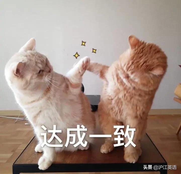 onthesamepage翻译,onthesamepage什么意思