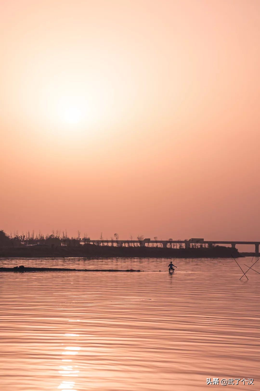 武昌向南择墅而居,这或许是你离理想生活最近的一次