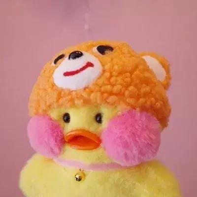 36张网红玻尿酸鸭头像图：遇见就好了，余生就算了