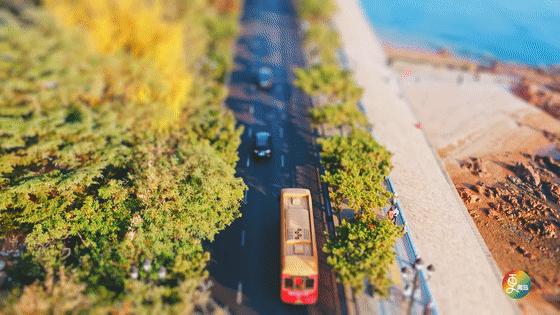 青岛被德国占领时期,青岛被德国占多久