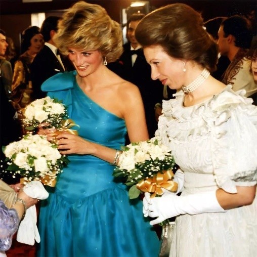 安妮公主刁难戴安娜,安妮公主被骂