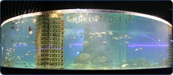 开封海洋馆门票70岁免费吗,开封海洋馆门票20元2019