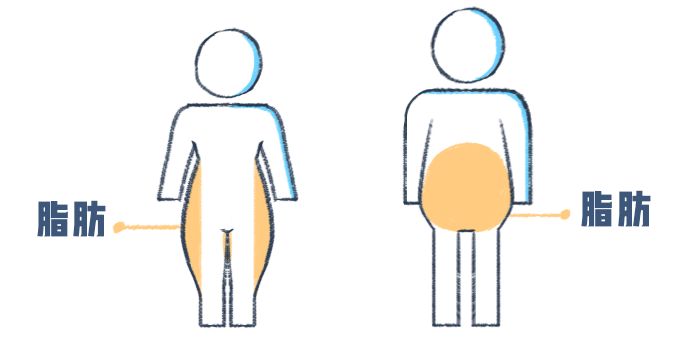 为什么男生的腿总比女生瘦,为什么男生的腿普遍都比女生腿细