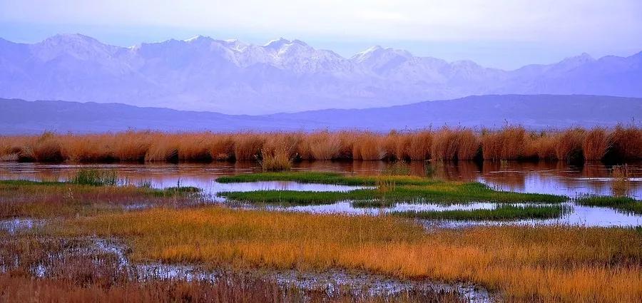 来感受大西北的异域风情,领略一下西北风情