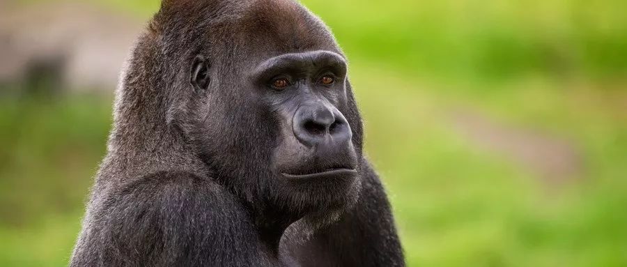 坤鹏论炒股,坤鹏论哲学研究的是什么