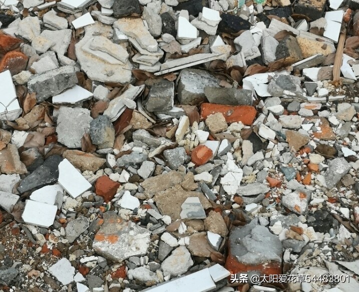 养花在花盆底下垫什么东西最好,养花盆用什么垫底好