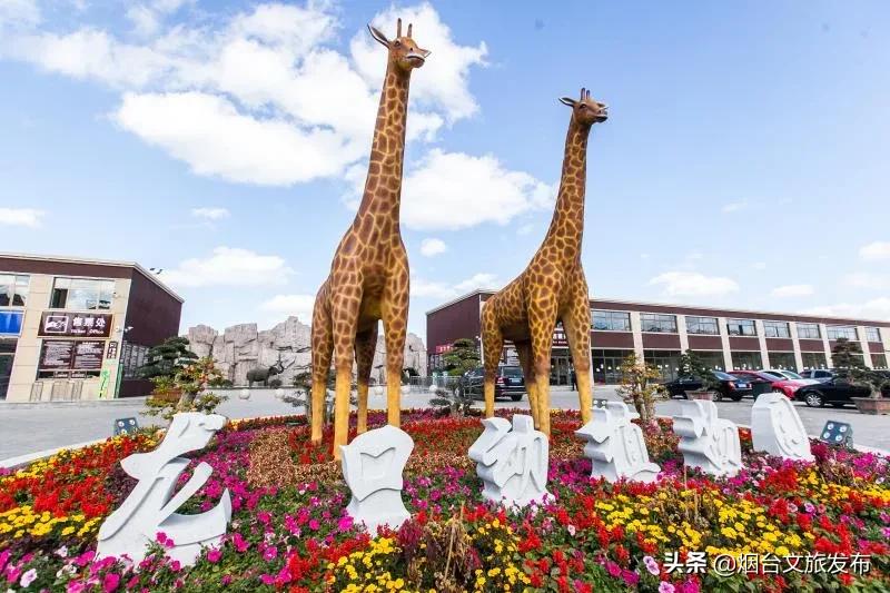 烟台五一假日攻略,烟台欢乐汇玩法