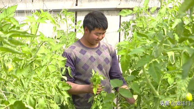 兴业联社播撒及时雨助力春耕备耕,酒泉农商银行春耕助力贷