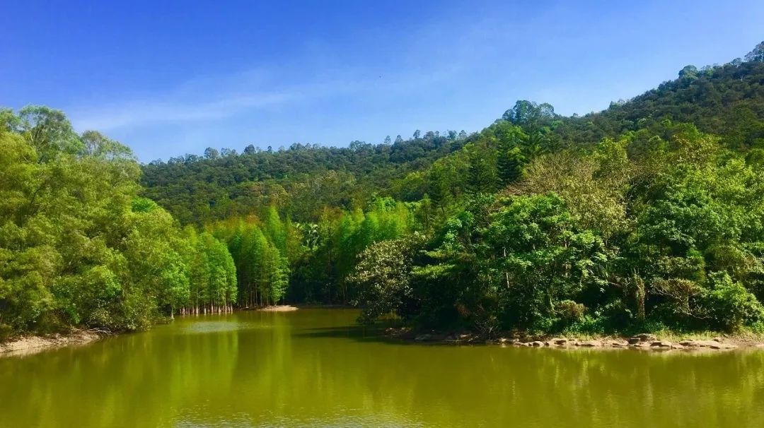 周末广州市内哪个公园最值得去,广州十大避暑旅游景点