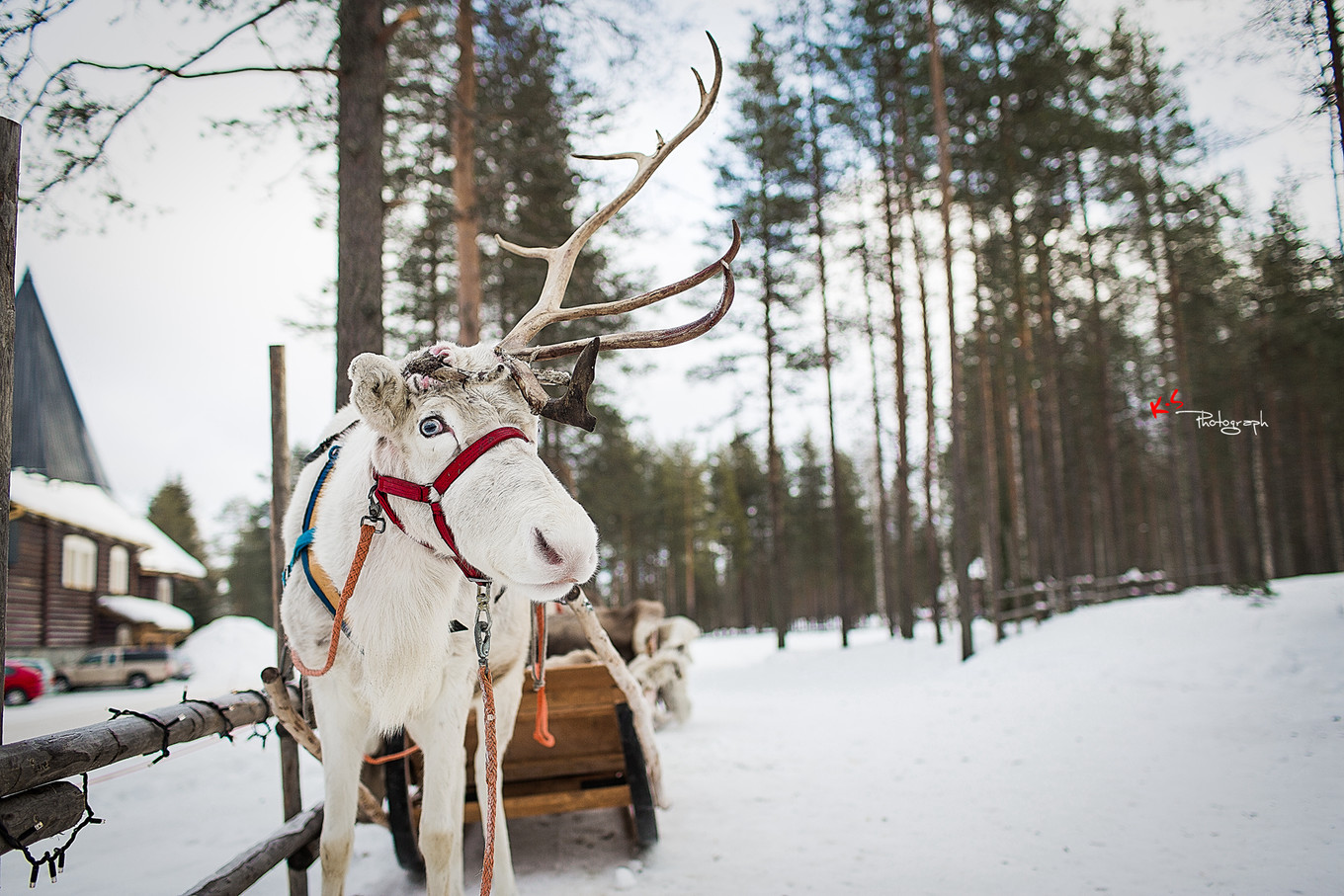 果小姐的日常,果小姐的慢生活