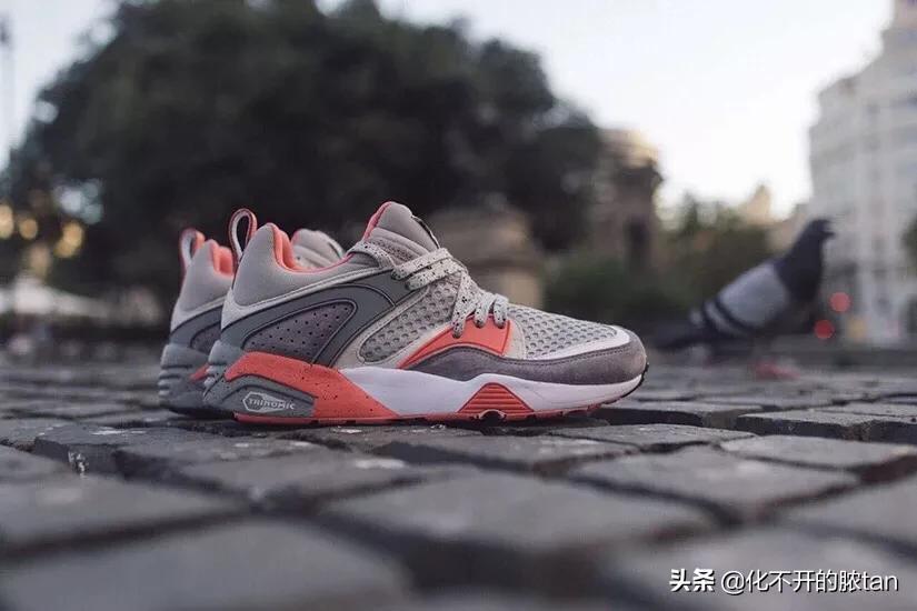 鐩茬洰璺熼鐞冮瀷,鑳′贡璺熼