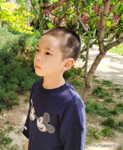 6岁嗯哼模样变帅气暖男气质爆棚,霍思燕嗯哼剃板寸视频