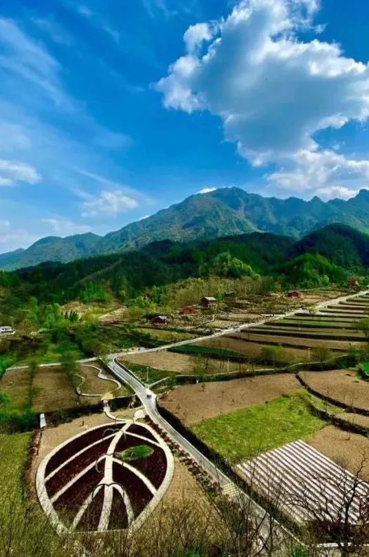 大美中国甘肃康县,央视大美中国甘肃康县