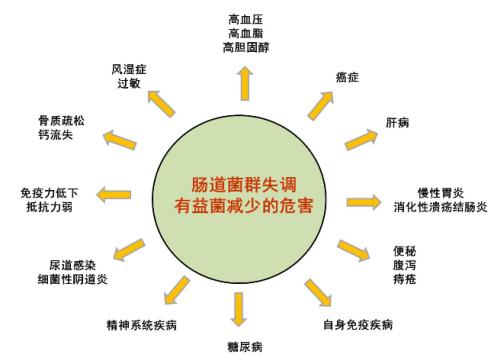 坏死性小肠结肠炎,坏死性的小肠炎症