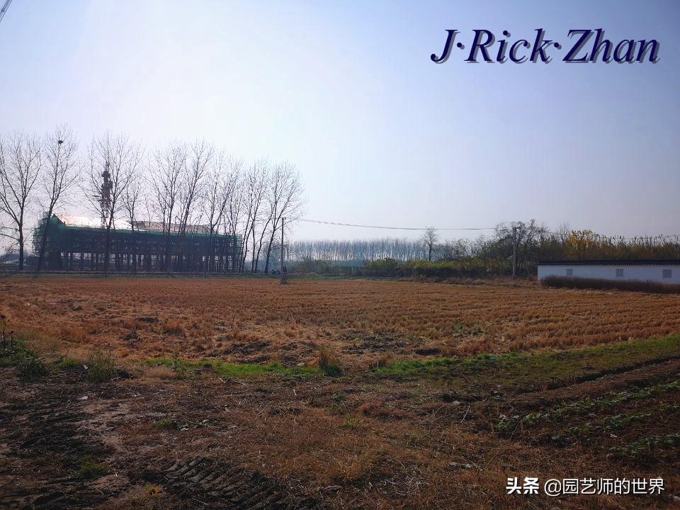 城市蔬菜园景观设计,蔬菜花园造型