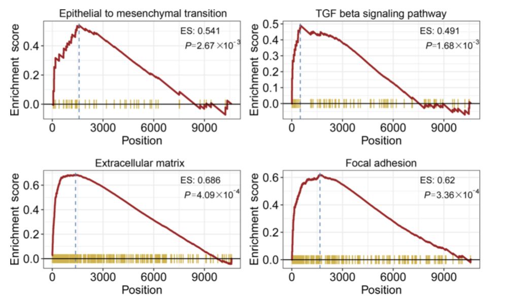 博士毕业神器3+分纯生信杂志：平均一审只要一个月，年刊量1000+