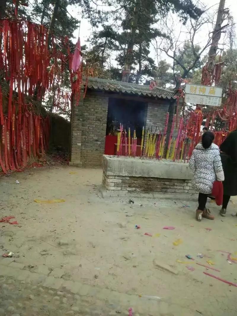 楼观台国家森林公园竹林,楼观台国家森林公园海拔