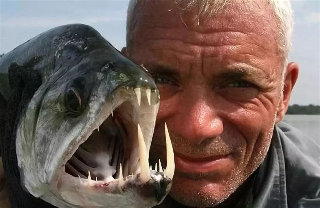 亚马逊河与长江相比厉害在哪？为什么说它可怕，没人敢下河游泳？