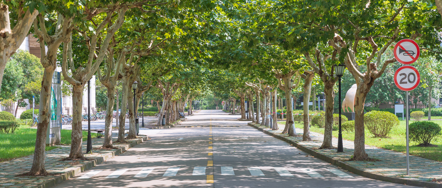 成都七中育才附属小学锦官驿校区,成都锦二区学区分布