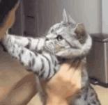 秋冬高级感百搭包包,包包秋冬斜挎小包百搭