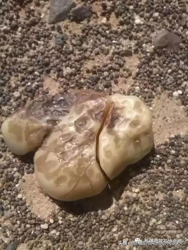 新疆戈壁精灵蛋白石,戈壁蛋白石怎么清洗